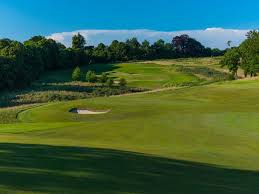 Image result for Pachesham Park Golf Centre