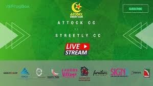 Image result for Brooksbottom Cc