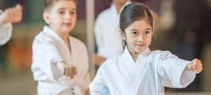 Image result for Hed Tkd (Dorking Tae Kwon-Do)