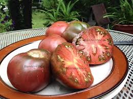 Afbeeldingsresultaat voor black sea man tomato