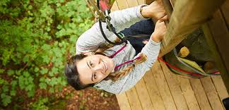 Image result for Go Ape! Alice Holt