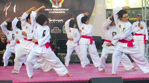 Image result for Silat Perisai Diri Classes Club