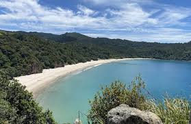 Image result for new chums beach