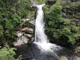 Image result for Cascada