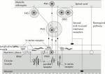 Prevertebral ganglia and intestinofugal afferent neurones ... 