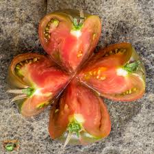 Afbeeldingsresultaat voor dark purple beefsteak tomato