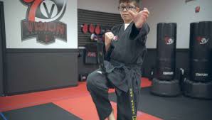 Image result for Vision Martial Arts