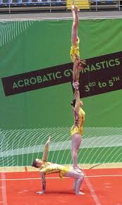 Image result for Sports Acro