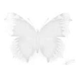 Attēlu rezultāti vaicājumam “Macaria wauaria”