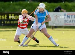 Image result for Skye Camanachd