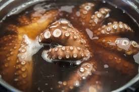 Image result for octopus in a basque