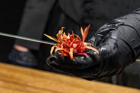 Attēlu rezultāti vaicājumam “Cryptocala chardinyi”