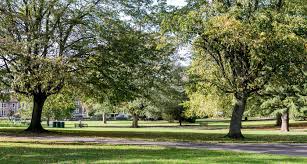 Image result for Bristol St Andrews Bowling Club Ltd