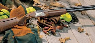 Image result for Property Gun and Punt Club
