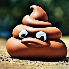 Картинки по запросу ты какашка