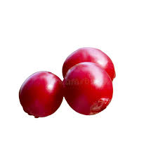 Attēlu rezultāti vaicājumam “Vaccinium vitis-idaea fruit”