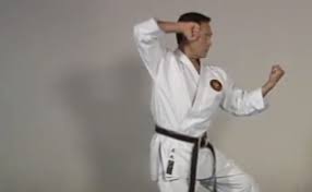 Image result for Charnwood Shoto Ryu Karate kai