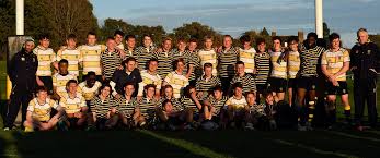 Image result for Cranleigh Football Club