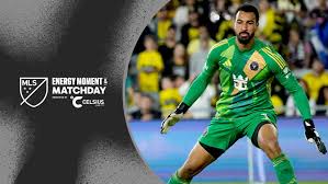 Image result for Callander Target Sports Club