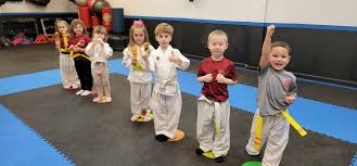 Image result for Hetton and Murton Karate Academy