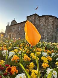 Image result for Stanway Badminton Club