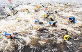 Image result for Morpeth Amateur Swimming Club