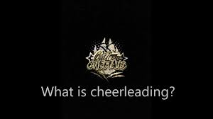 Image result for Chiltern Cheetahs