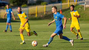 Image result for sényő