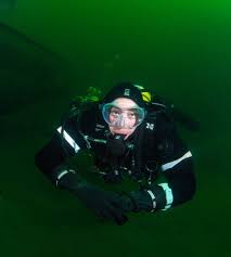 Image result for Southdown Divers