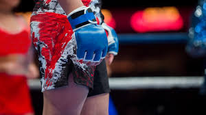 Image result for Combat Sambo