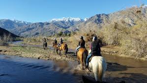Image result for Palmers Riding Stables
