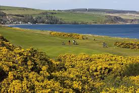 Image result for Fortrose & Rosemarkie Golf Club
