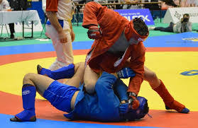Image result for Combat Sambo
