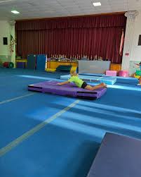 Image result for Harlequin Gymnastics Club