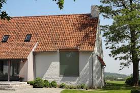 Image result for kaleien