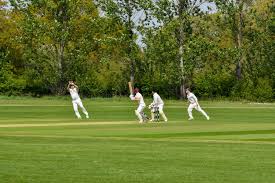 Image result for Baildon Methodist Cricket Club