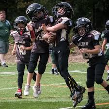 Image result for Tongham Boys Under 9`s Football Club