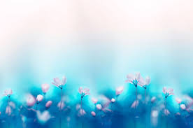 Image result for free wallpaper