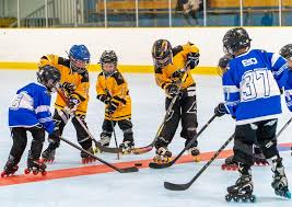Image result for Halifax Roller Hockey Club