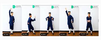 Image result for WUQI KUNG FU AND HEALTH SOCIETY