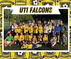 Image result for Mytchett Athletic Football Club