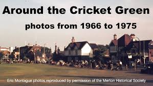 Image result for Mitcham Cricket Club