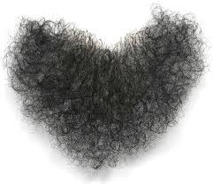 Image result for schamhaar