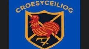 Image result for Croesyceiliog Cricket Club