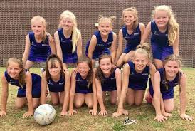 Image result for Foxes Netball Club