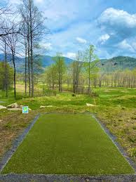 Image result for Ashville College Disc Golf Club