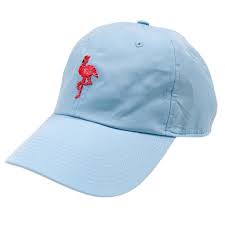 Image result for Flamingo Cricket Club