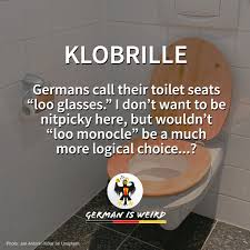 Image result for german toilet