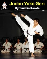 Image result for Jodan Karate