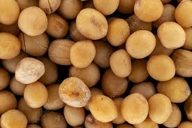 Attēlu rezultāti vaicājumam “Sinapis alba”